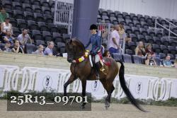 25R13_09701 thumbnail