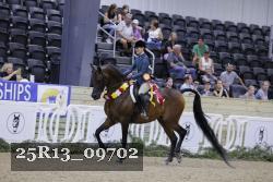 25R13_09702 thumbnail