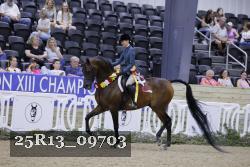 25R13_09703 thumbnail