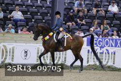 25R13_09705 thumbnail