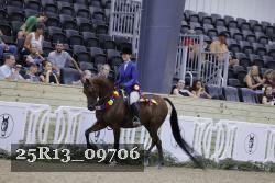 25R13_09706 thumbnail