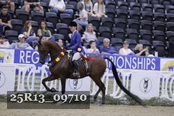 25R13_09710 thumbnail
