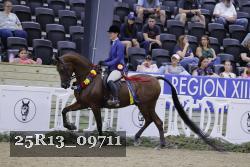 25R13_09711 thumbnail