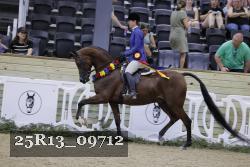 25R13_09712 thumbnail