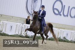 25R13_09716 thumbnail