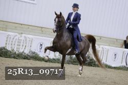 25R13_09717 thumbnail
