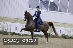 25R13_09718 thumbnail