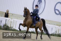 25R13_09719 thumbnail