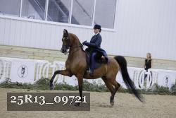 25R13_09721 thumbnail