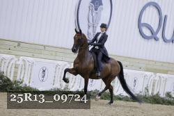 25R13_09724 thumbnail
