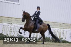 25R13_09725 thumbnail