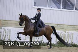25R13_09726 thumbnail
