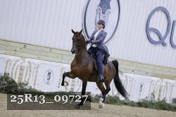 25R13_09727 thumbnail