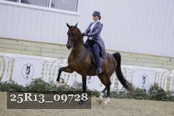 25R13_09728 thumbnail