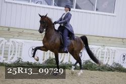25R13_09729 thumbnail