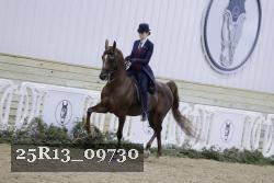 25R13_09730 thumbnail