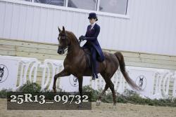 25R13_09732 thumbnail