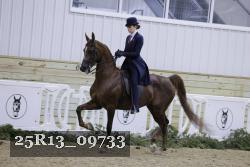 25R13_09733 thumbnail