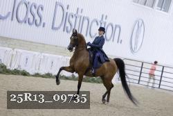 25R13_09735 thumbnail
