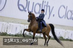 25R13_09736 thumbnail