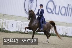 25R13_09738 thumbnail