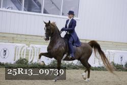 25R13_09739 thumbnail