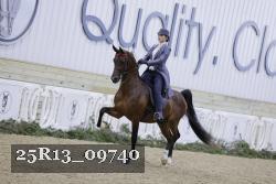 25R13_09740 thumbnail