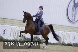 25R13_09741 thumbnail