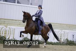 25R13_09742 thumbnail