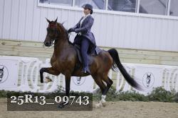 25R13_09743 thumbnail