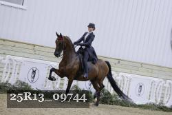 25R13_09744 thumbnail
