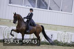 25R13_09745 thumbnail