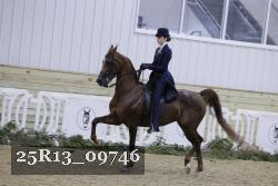 25R13_09746 thumbnail