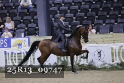 25R13_09747 thumbnail