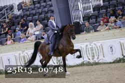 25R13_09748 thumbnail