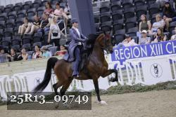 25R13_09749 thumbnail