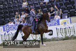 25R13_09750 thumbnail