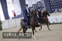 25R13_09751 thumbnail