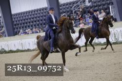 25R13_09752 thumbnail