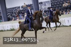 25R13_09753 thumbnail