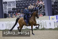 25R13_09754 thumbnail