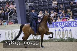 25R13_09755 thumbnail