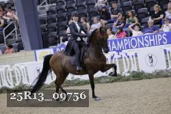 25R13_09756 thumbnail