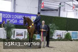 25R13_09760 thumbnail