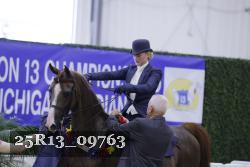 25R13_09763 thumbnail