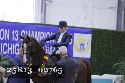 25R13_09765 thumbnail