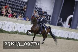 25R13_09776 thumbnail