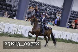 25R13_09778 thumbnail