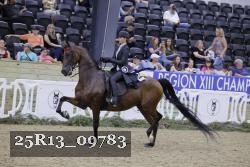 25R13_09783 thumbnail