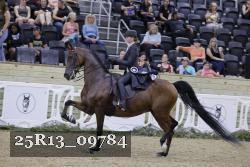 25R13_09784 thumbnail